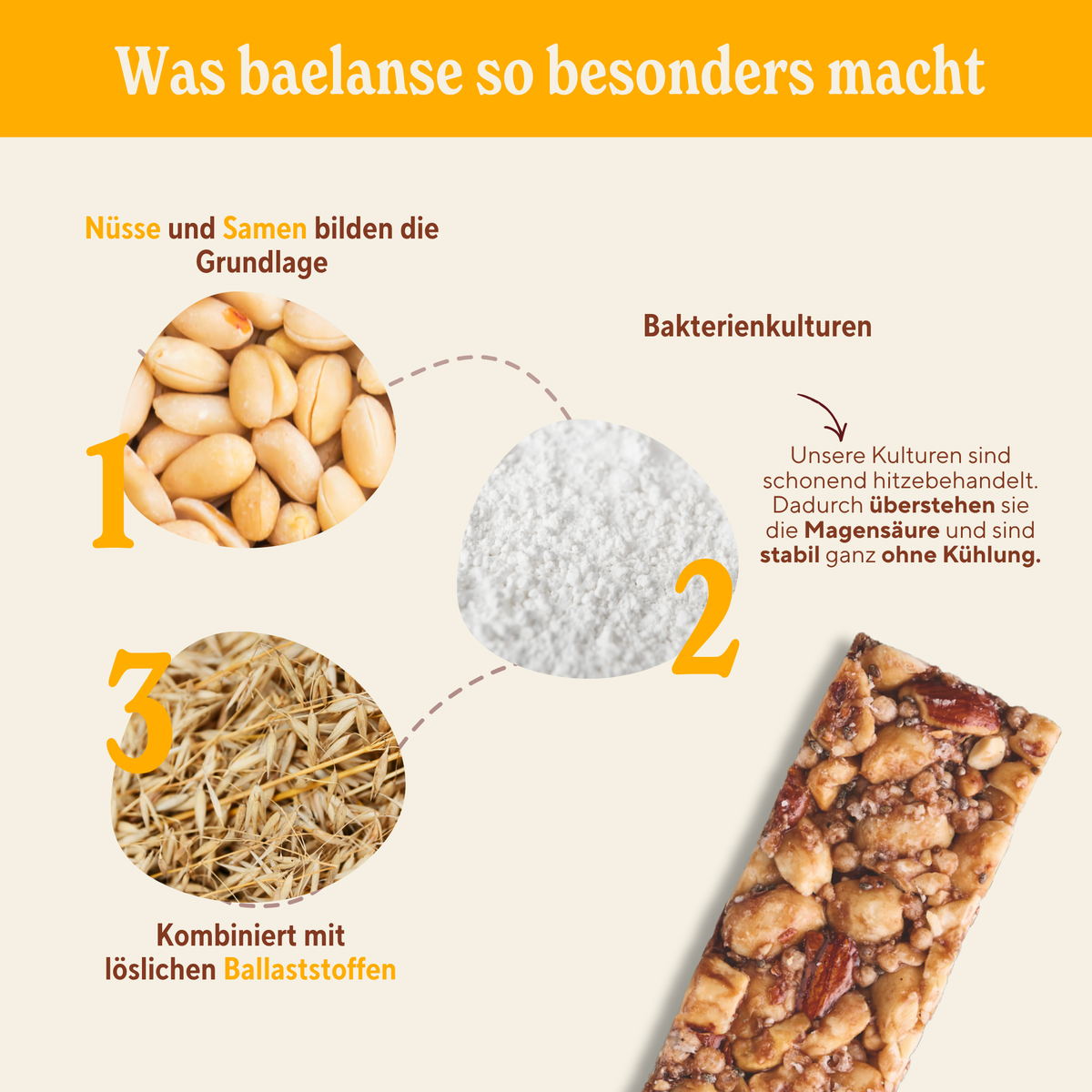 Starter-Paket: Nuss + Hafer