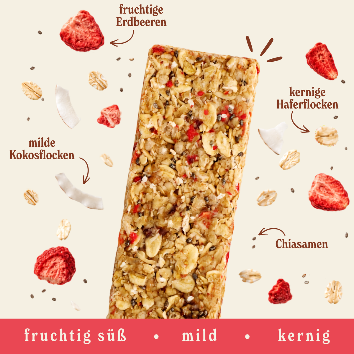 Haferriegel Probier-Box