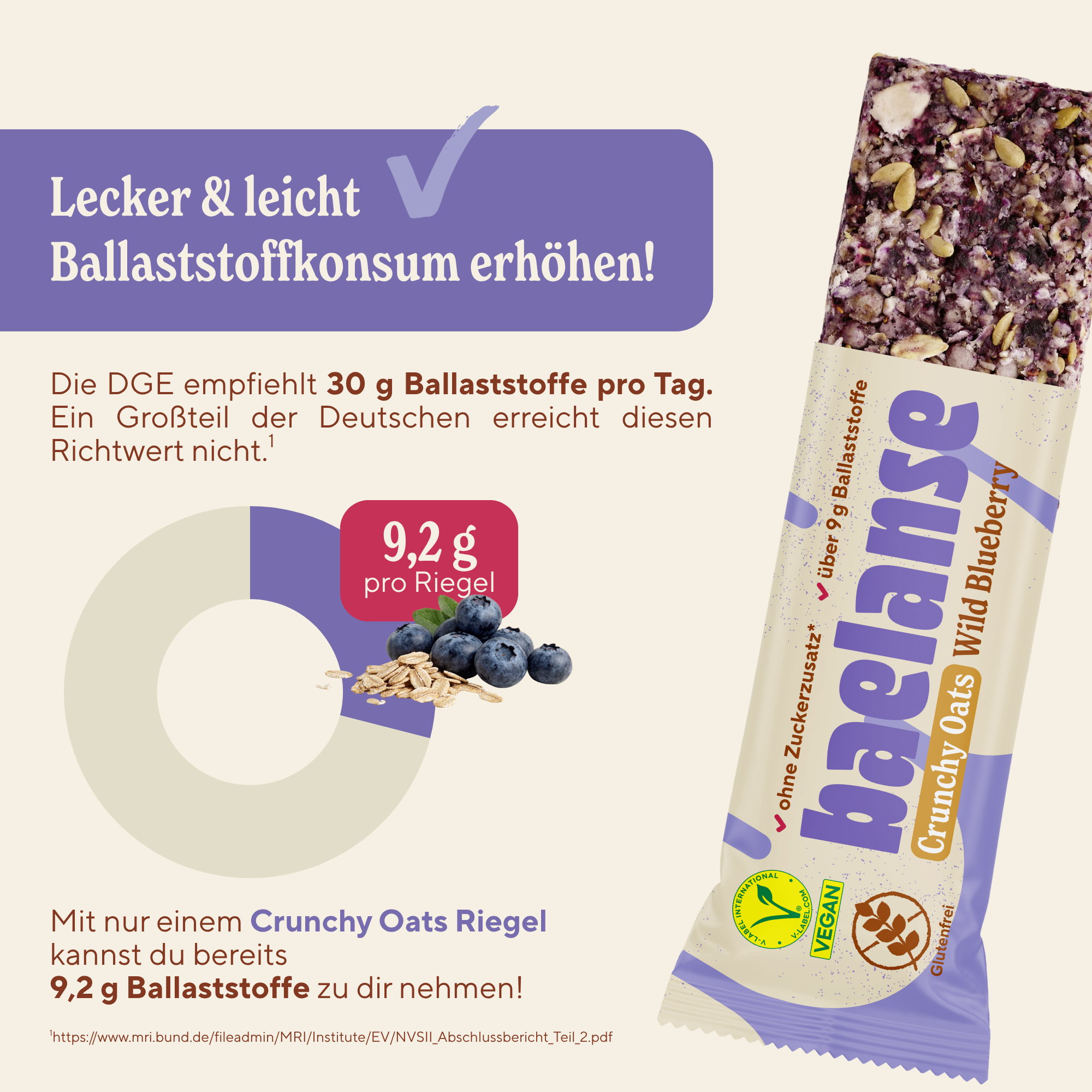 Crunchy Oats Wild Blueberry
