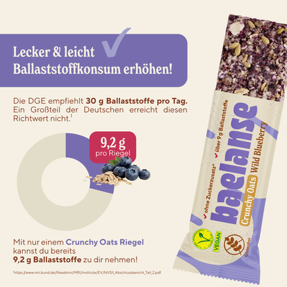 Crunchy Oats Wild Blueberry