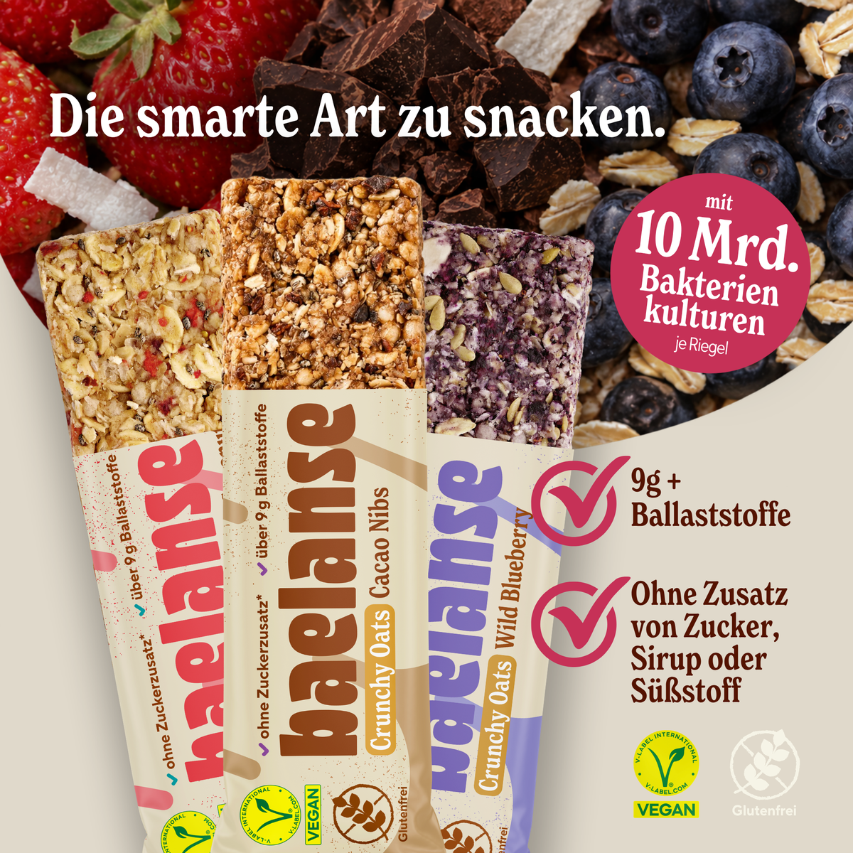 Haferriegel Probier-Box
